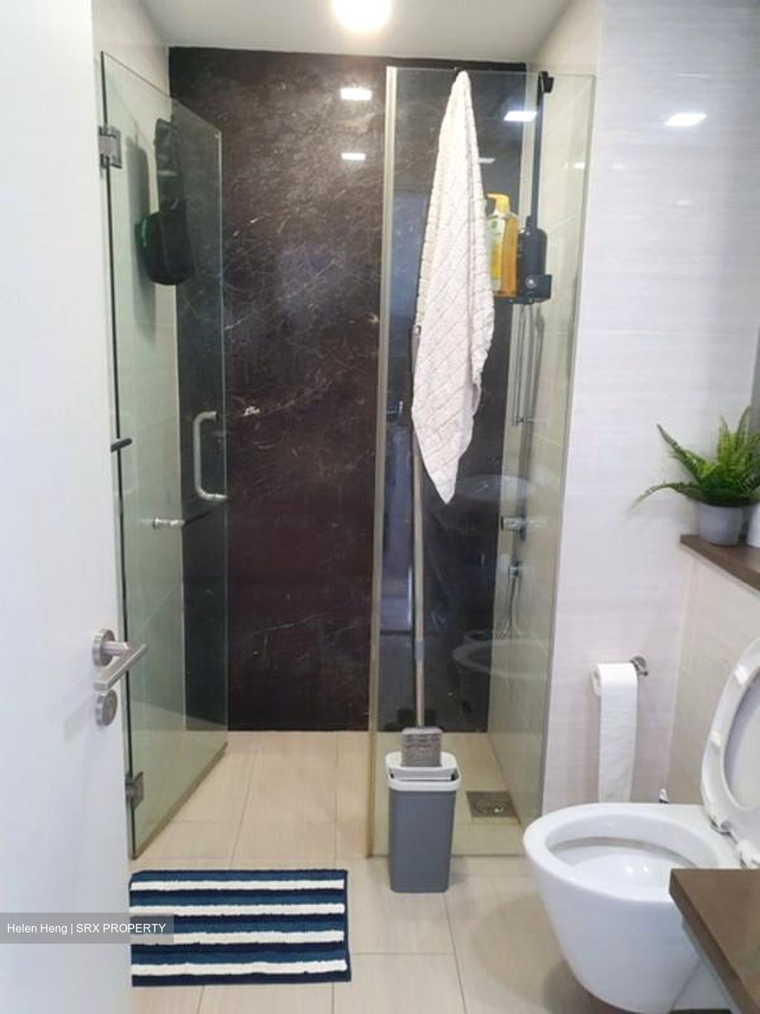 Sky Green (D13), Condominium #582392321